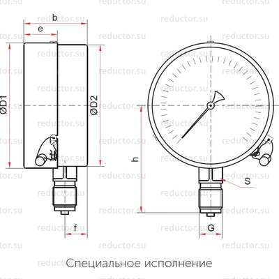 Рисунок 1 — Специальное исполнение