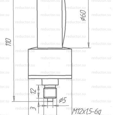 Рисунок 1 — Манометры показывающие ДМГ-60